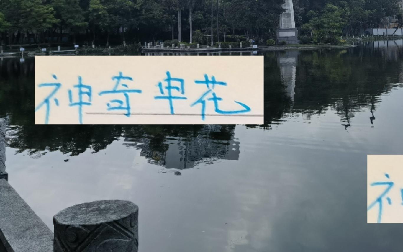 神奇申花！沒(méi)有一個(gè)人進(jìn)球雙位數(shù)但他們進(jìn)攻僅次于67球海港