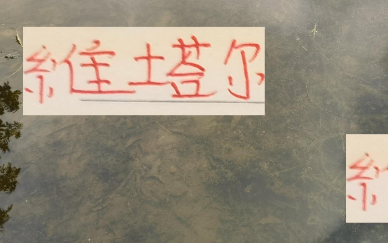 海港奧斯卡后繼有人維塔爾已是中超助攻榜二就差河南納薩一個(gè)球