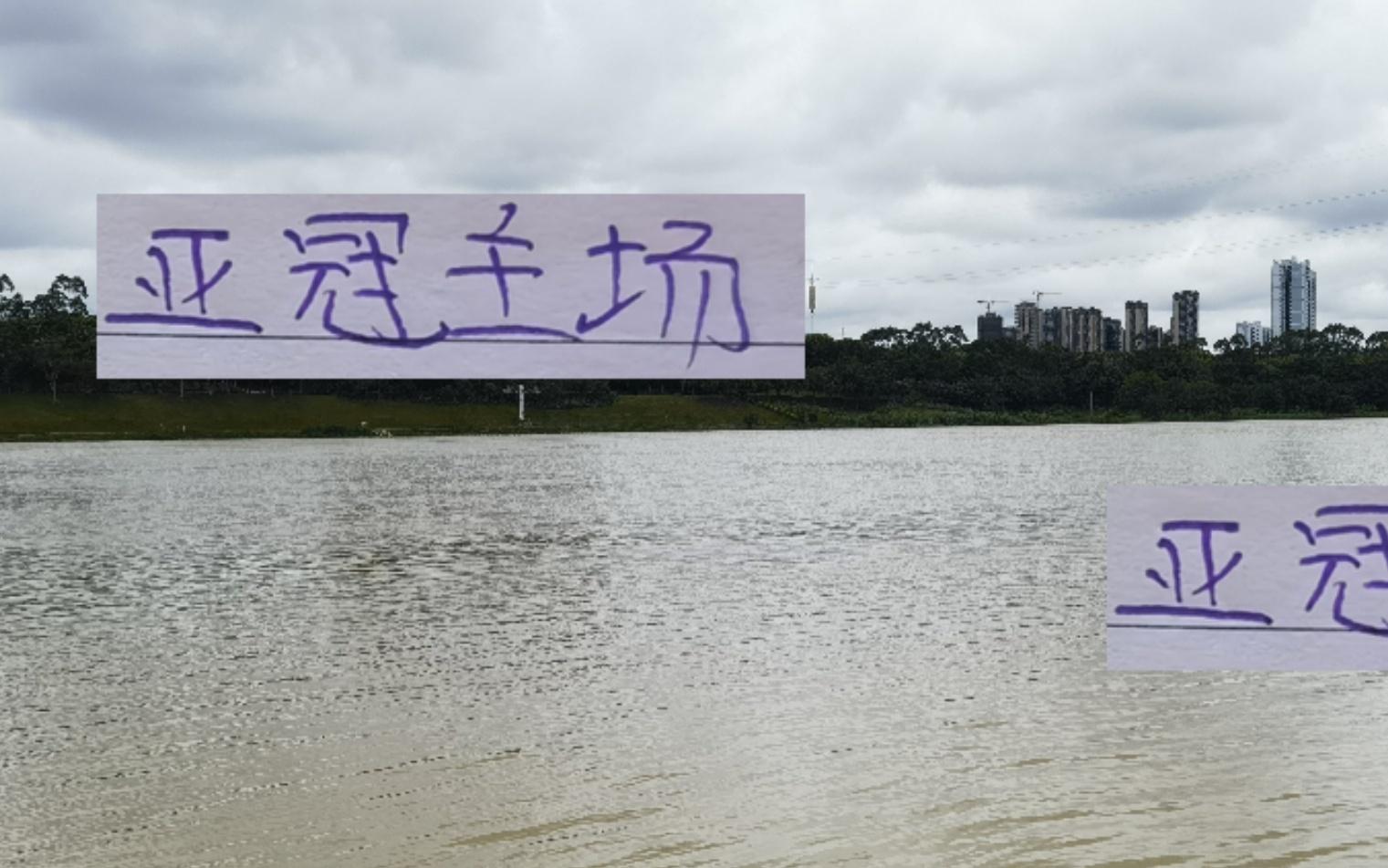 亞冠三個(gè)主場！成都球迷最多申花其次海港有點(diǎn)慘剛1萬1百多觀眾