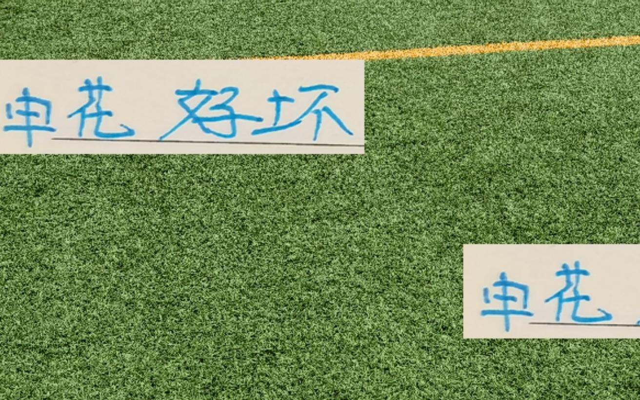 申花好消息！馬萊萊沒有來壞消息！蔣圣龍上不了場