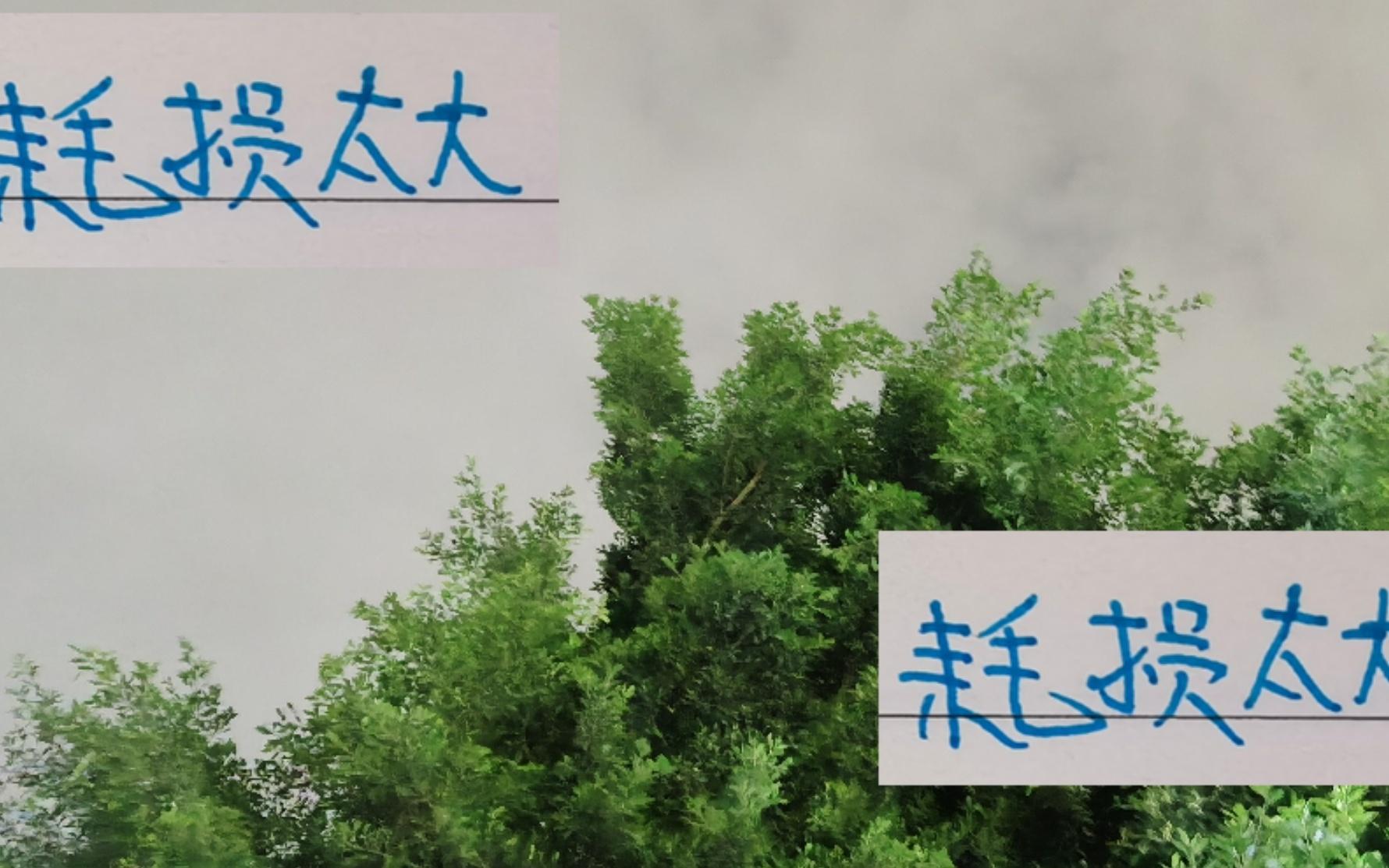 亞冠對馬納法+特謝拉耗損太大了！申花雙子神不靈球隊也不靈